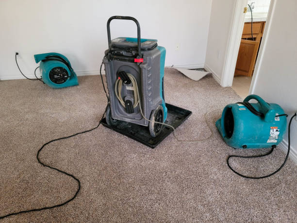 Best Residential water damage restoration  in Blackville, SC