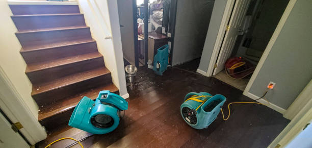 Best Flood damage cleanup  in Blackville, SC