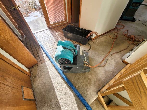 Best Commercial water damage restoration  in Blackville, SC