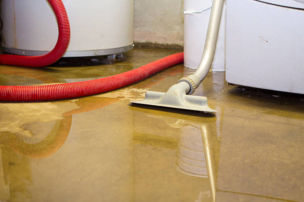 Best Water damage contractors near me  in Blackville, SC