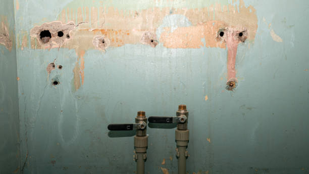 Best Fire Damage Restoration  in Blackville, SC