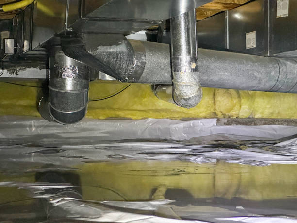 Best Basement water damage restoration  in Blackville, SC