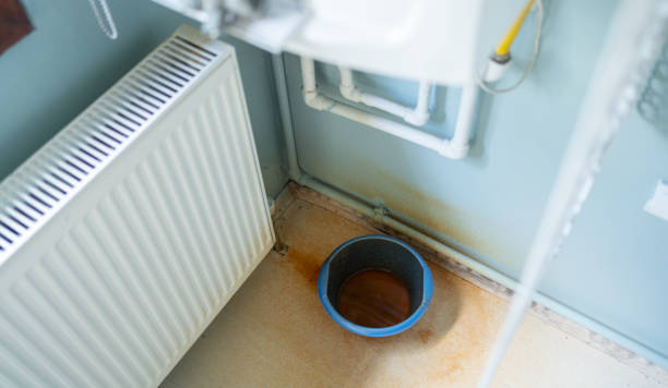 Best Water damage restoration near me  in Blackville, SC