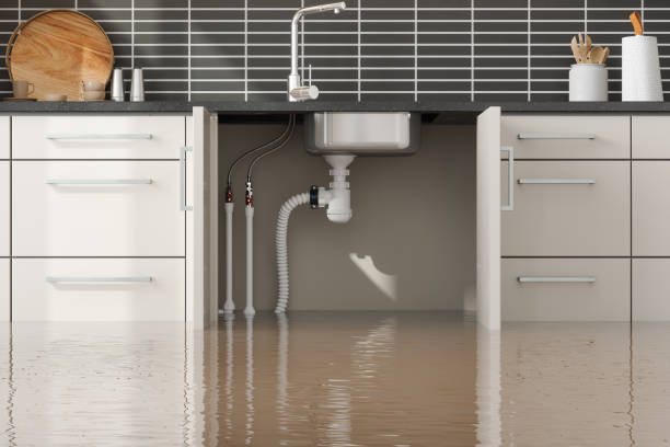  Blackville, SC Water damage restoration Pros