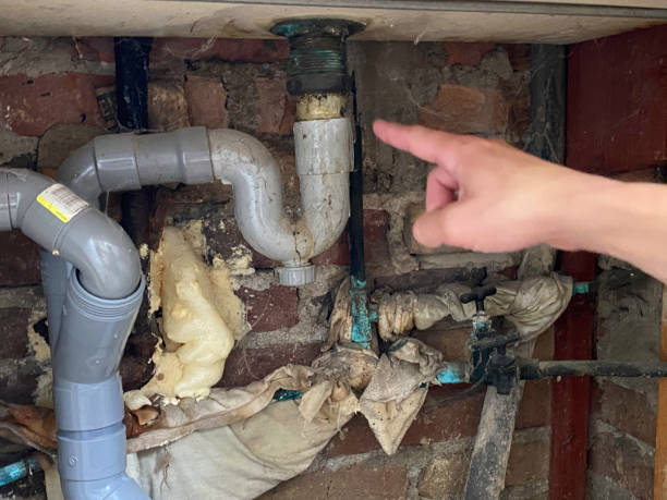 Best Water damage restoration near me  in Blackville, SC