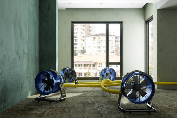 Best Sewage cleanup and water damage restoration  in Blackville, SC