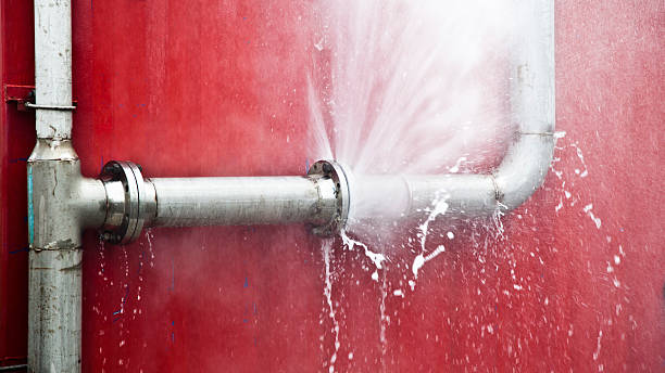 Best Mold removal after water damage  in Blackville, SC